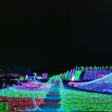 府谷到榆林拼车信息